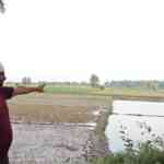 punjabs-farmers-battle-to-reclaim-flood-hit-land-amid-official-apathy