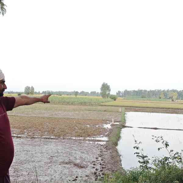 punjabs-farmers-battle-to-reclaim-flood-hit-land-amid-official-apathy