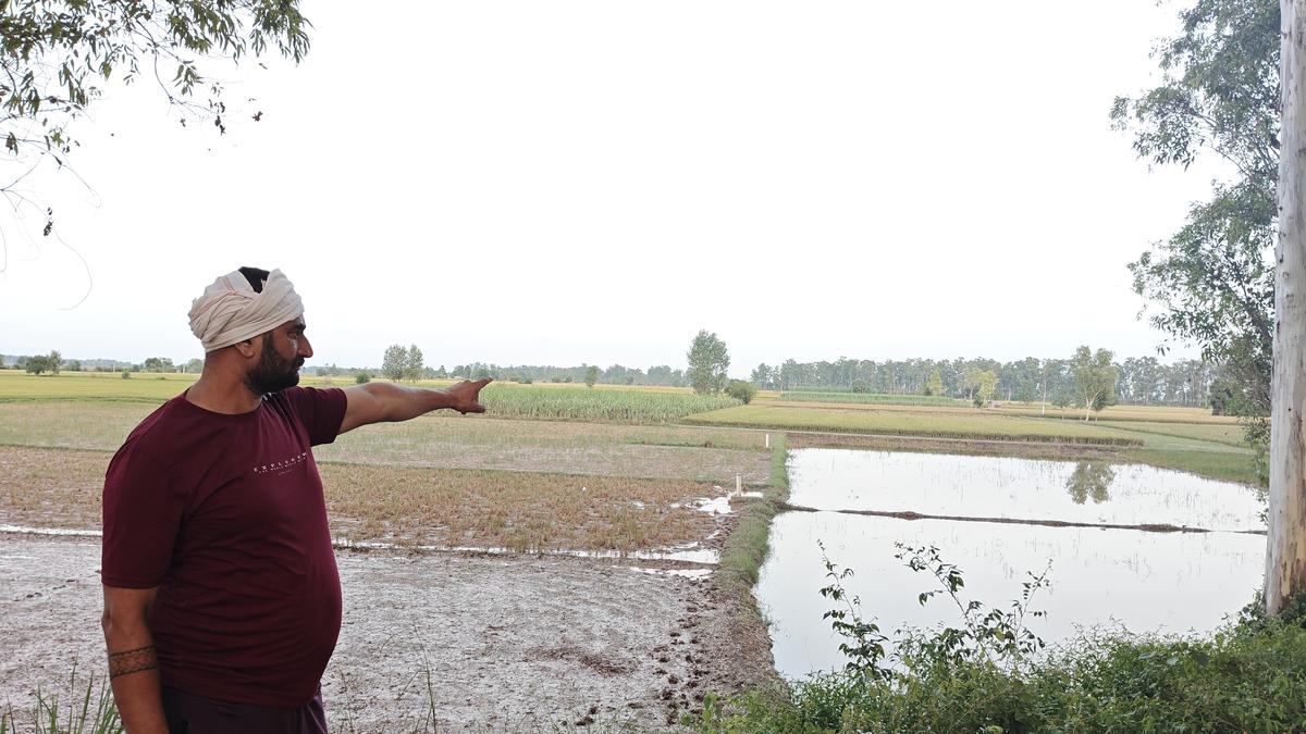 punjabs-farmers-battle-to-reclaim-flood-hit-land-amid-official-apathy