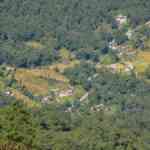 sikkim-plan-to-recognise-conventional-forest-caretakers-awaits-clearance-from-centre