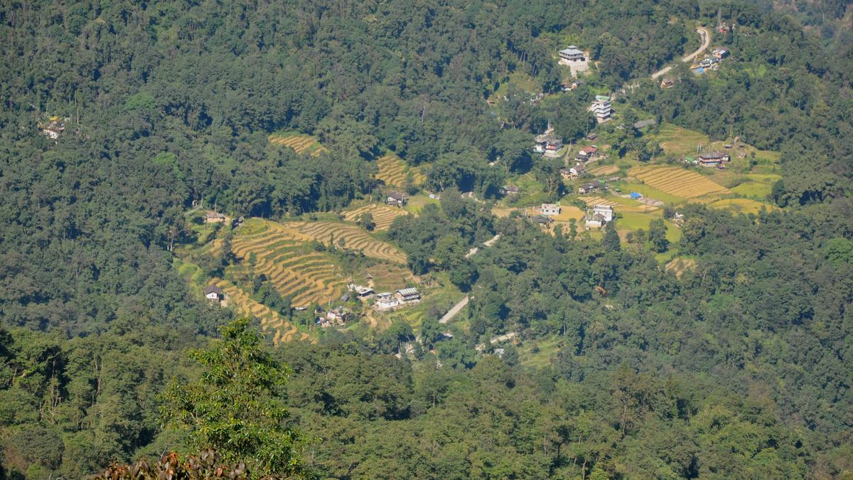 sikkim-plan-to-recognise-conventional-forest-caretakers-awaits-clearance-from-centre