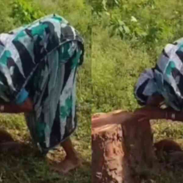 elderly-lady-weeps-after-peepal-tree-she-nurtured-for-20-years-is-reduce-down;-kiren-rijiju-calls-it-heart-wrenching