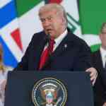 india-is-a-superb-nation-with-good-pal-of-mine-at-prime,-says-trump-in-egypt