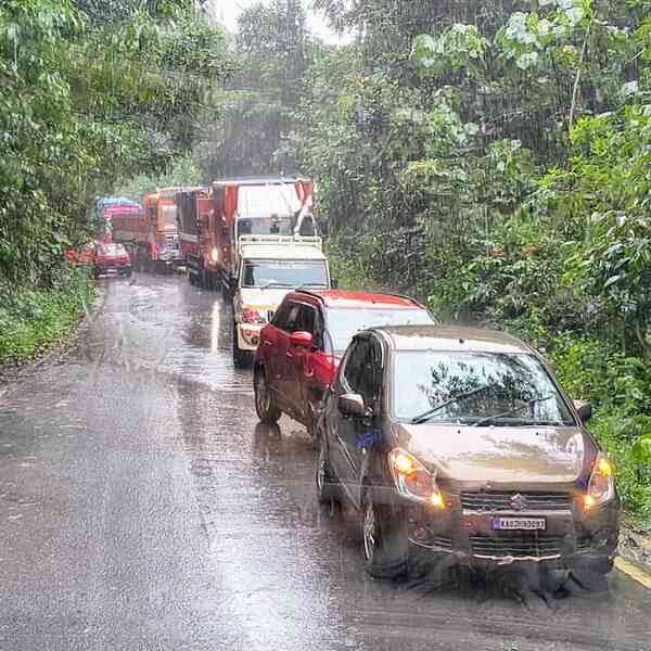 green-rhetoric-versus-grim-actuality-on-defending-forests-in-karnataka