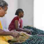 a-joyousdeepavali-for-firecracker-producers-in-sivakasi