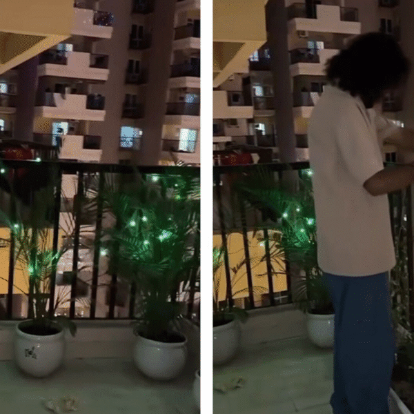 noida-bachelors-gentle-up-balcony-for-diwali-after-going-viral-for-lazy-decor