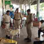 over-3,500-police-personnel-deployed-in-vellore,-close-by-districts-for-deepavali