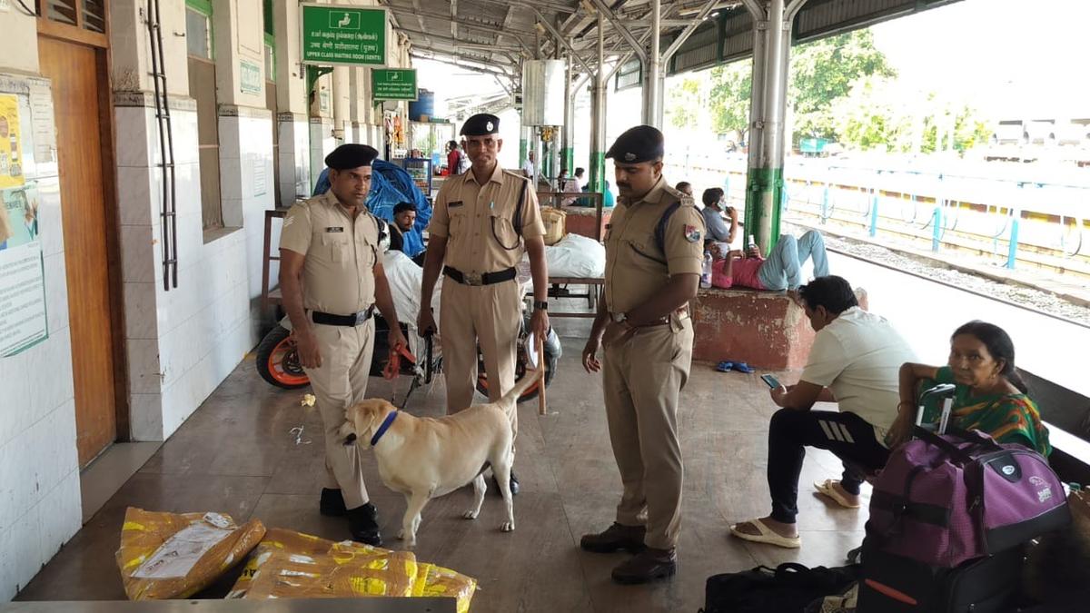 over-3,500-police-personnel-deployed-in-vellore,-close-by-districts-for-deepavali