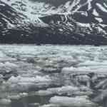 three-chennai-retirees-journey-to-each-ends-of-the-earth