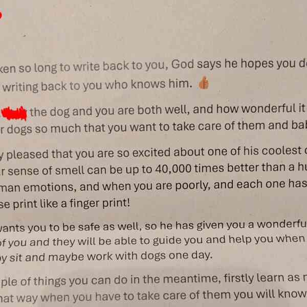 after-dad-and-mom-say-no-to-a-canine,-8-year-old-sends-a-letter-to-‘god’-and-will-get-an-sudden-reply