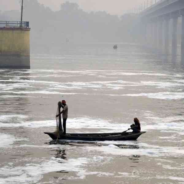 djbinvites-bids-for-13-decentralised-stpsto-clear-up-yamuna