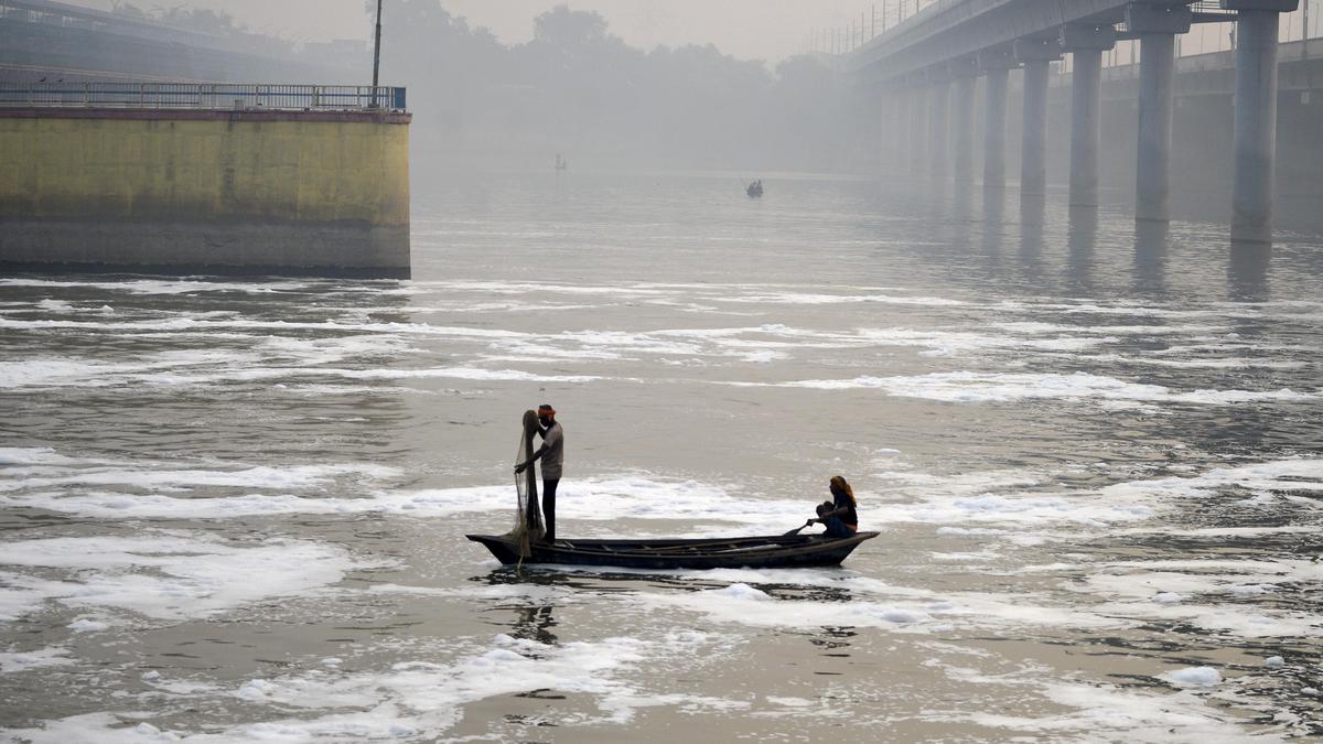 djbinvites-bids-for-13-decentralised-stpsto-clear-up-yamuna