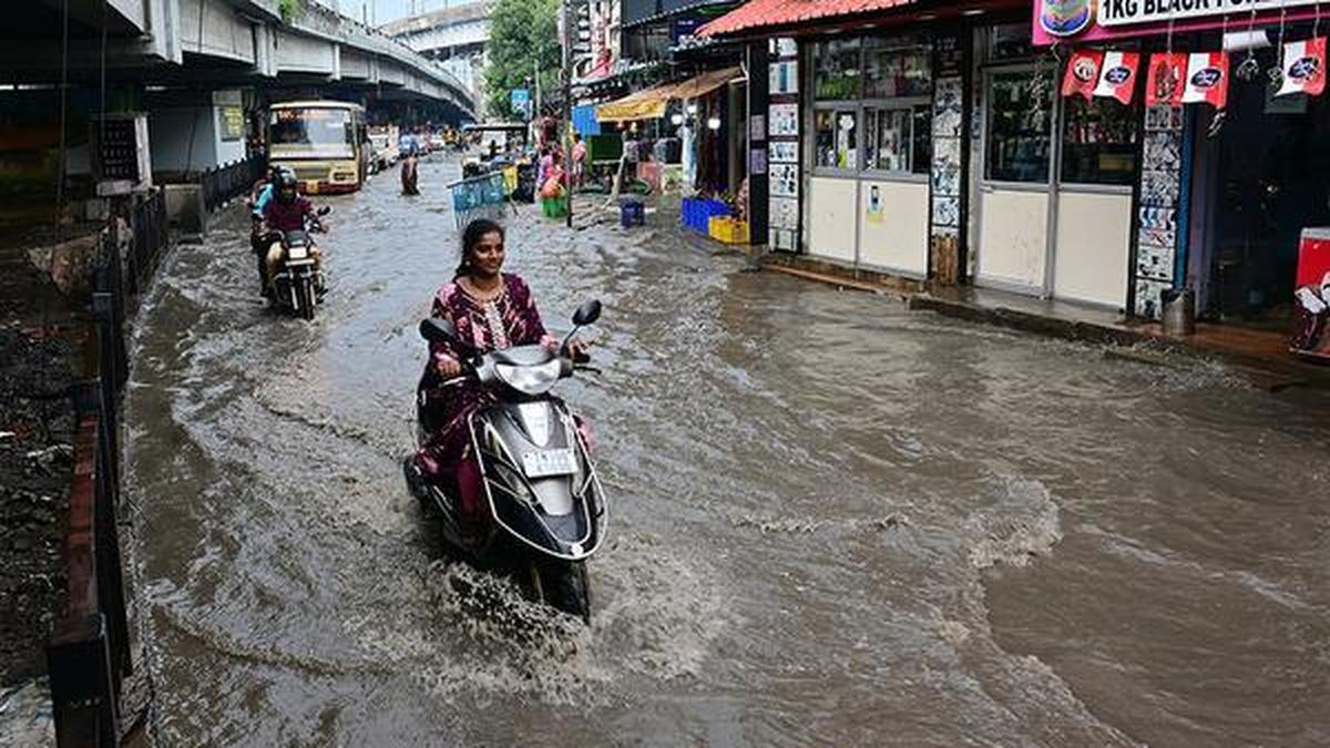 monsoon-rains-live:-red-alert-throughout-a-number-of-kerala,-tamil-nadu-districts-immediately;-vacation-declared-for-faculties,-schools