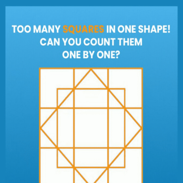 brain-teaser:-this-mind-bending-puzzle-is-stuffed-with-hidden-squares.-can-you-see-all-of-them?