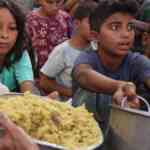drug-resistant-micro-organism-proliferate-in-gaza