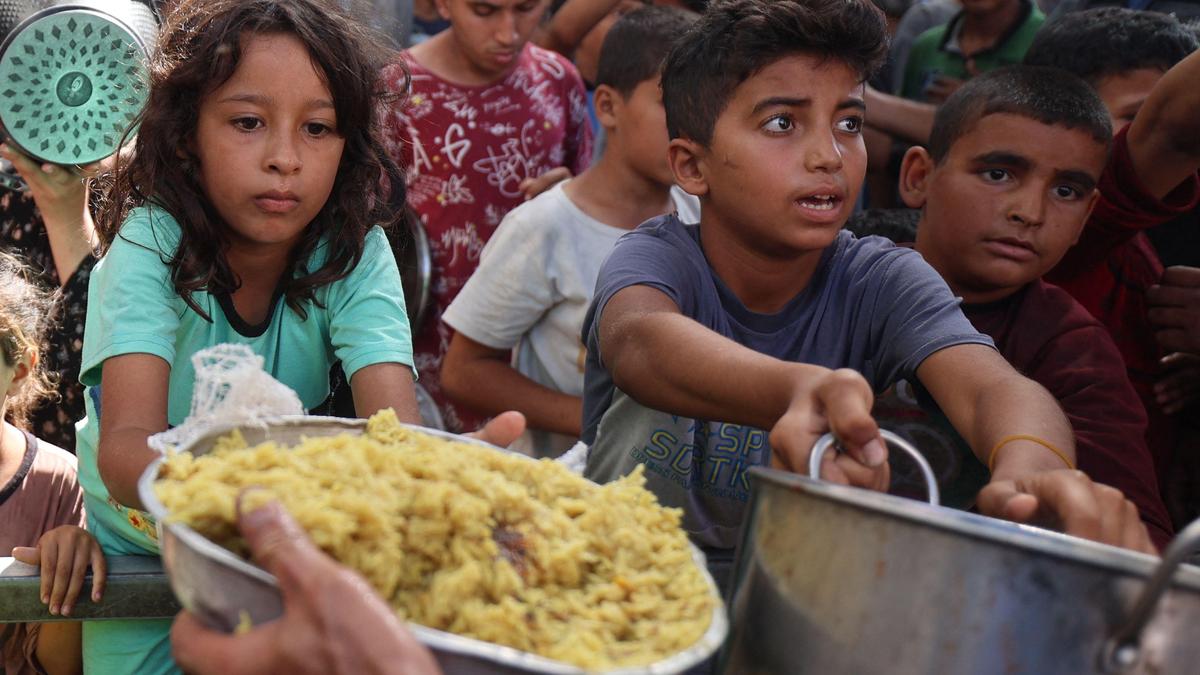 drug-resistant-micro-organism-proliferate-in-gaza