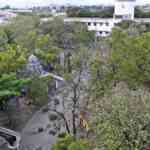 alternative-land-recognized-in-coimbatore-for-tamil-nadus-first-medical-devices-testing-laboratory