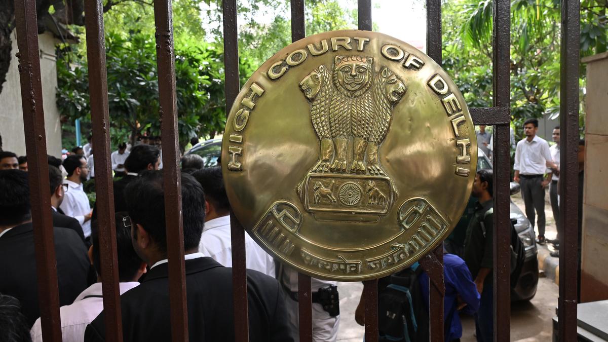 friendship-not-a-licence-to-rape-or-beat:-delhi-high-court