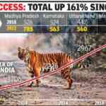 Tigers: India - Indpaedia