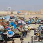 Afghanistan claims 58 Pakistani soldiers killed in clashes; border ...