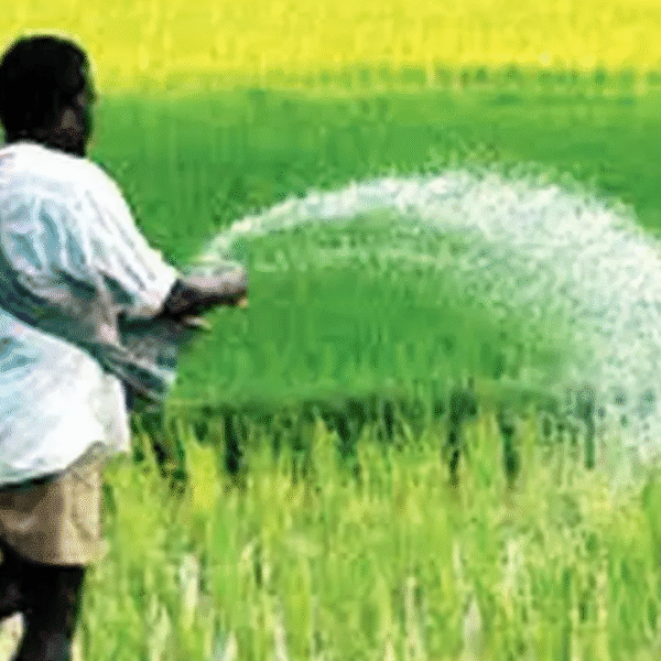 12 Teams To Check Hoarding Of Fertilizers | Trichy News - Times of ...