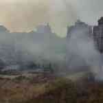 CPCB Flags Rising Ozone Pollution In Pune To NGT; Experts Urge ...