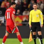 Soccer World Cup qualifier halted as vermin invades the pitch ...