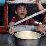 How Israel's policies created famine in Gaza