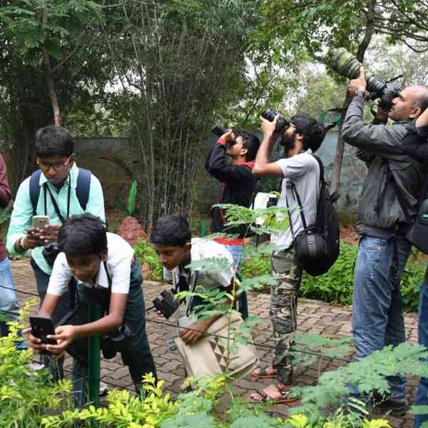 Young Birders' Month 2025: Nationwide initiative for children to ...