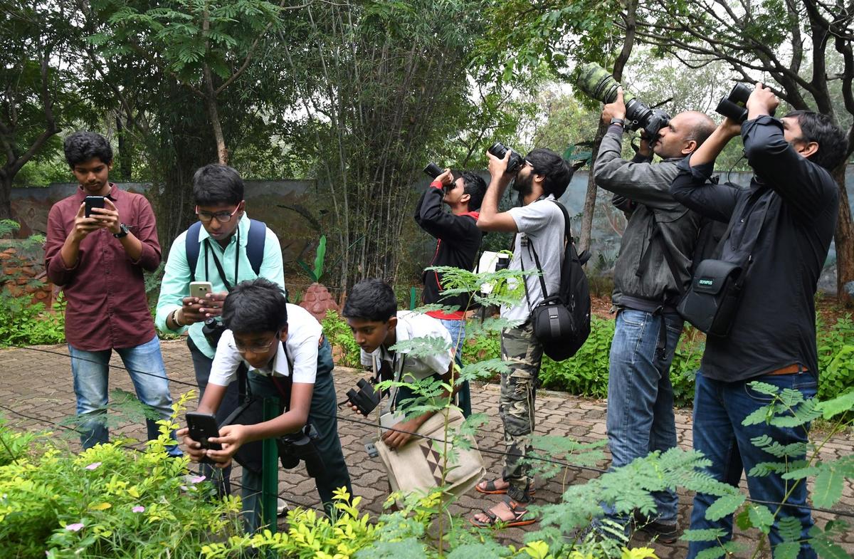 Young Birders' Month 2025: Nationwide initiative for children to ...