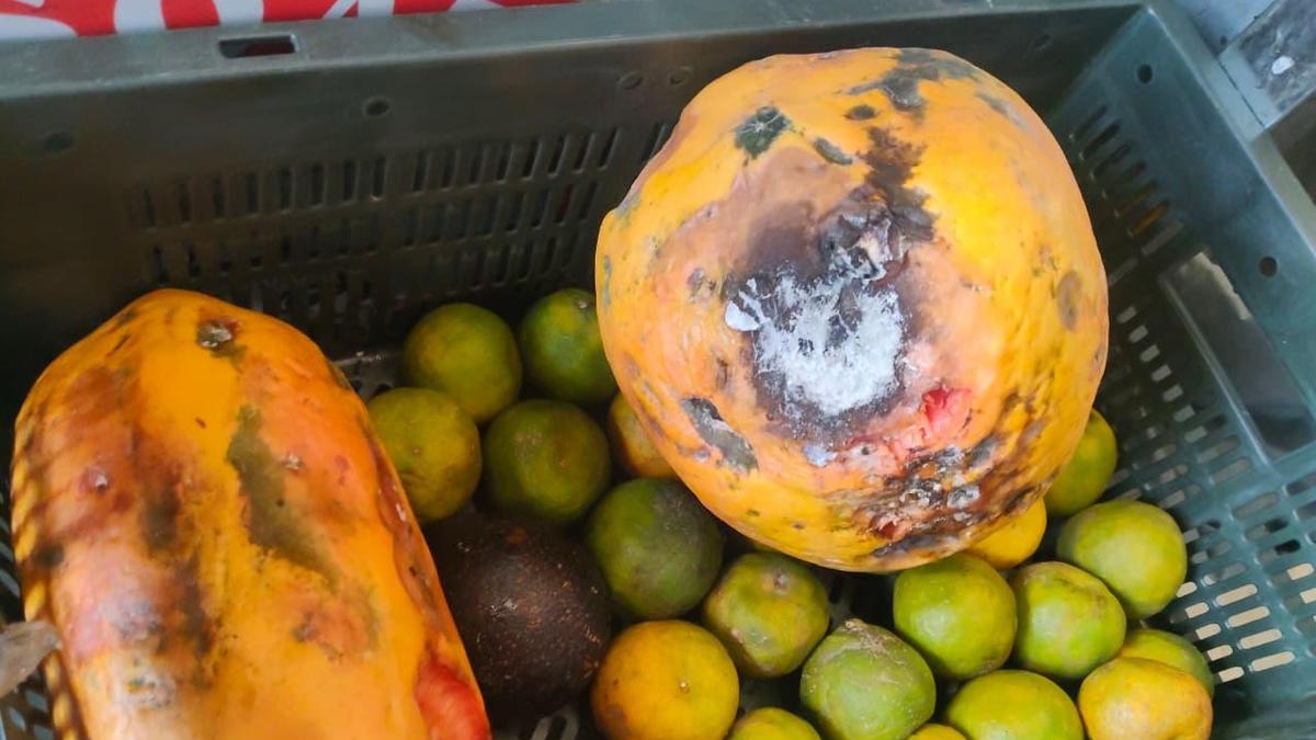 telangana-food-safety-division-cracks-down-on-meals-shops