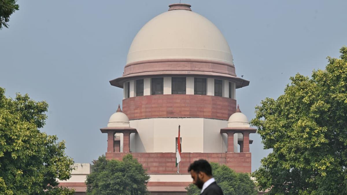 supreme-court-to-listen-to-stray-canines-case-on-november-3;-chief-secretaries-of-states,-uts-to-seem-in-court-docket