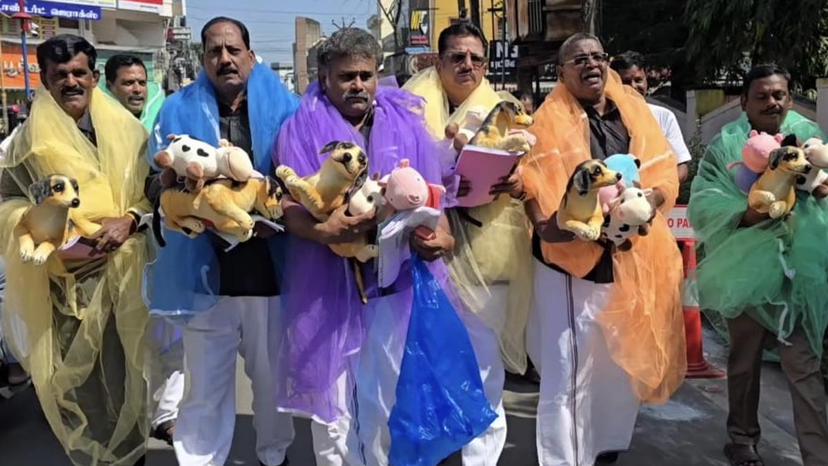 aiadmk-councillors-protest-with-mosquito-nets-and-stuffed-toys-at-tambaram-corporation-council-meeting