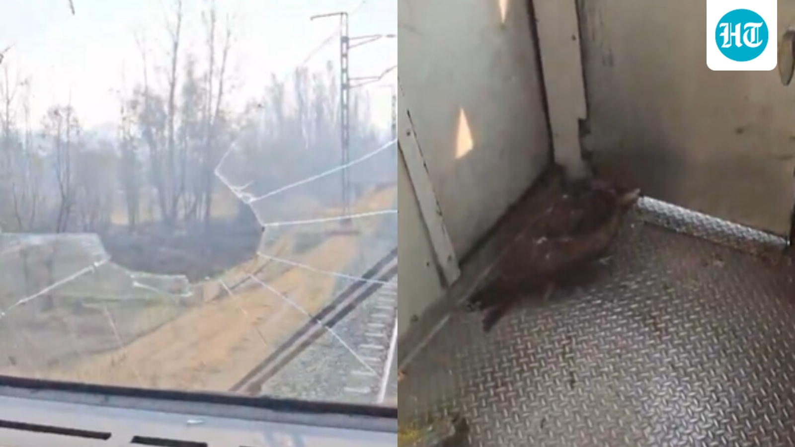 eagle-smashes-by-practice-windscreen-in-jammu-and-kashmir,-loco-pilot-injured