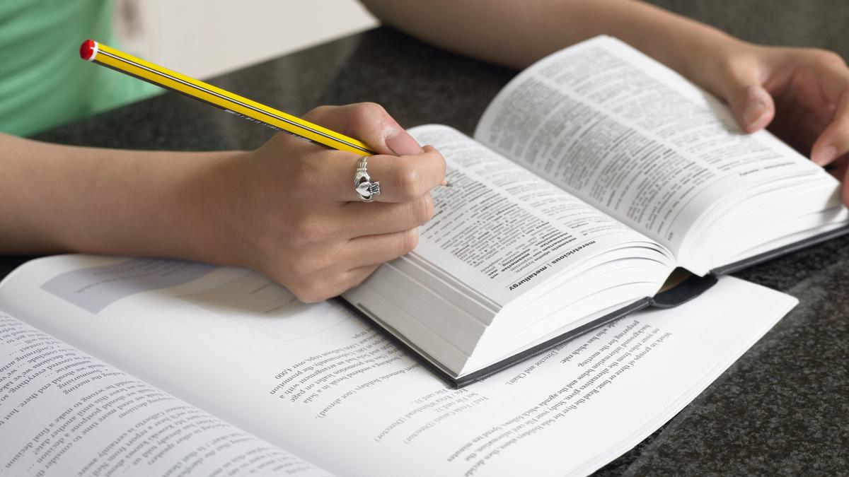 parasocial-is-cambridge-dictionarys-word-of-the-year-2025;-delulu,-slop-amongst-new-entrants