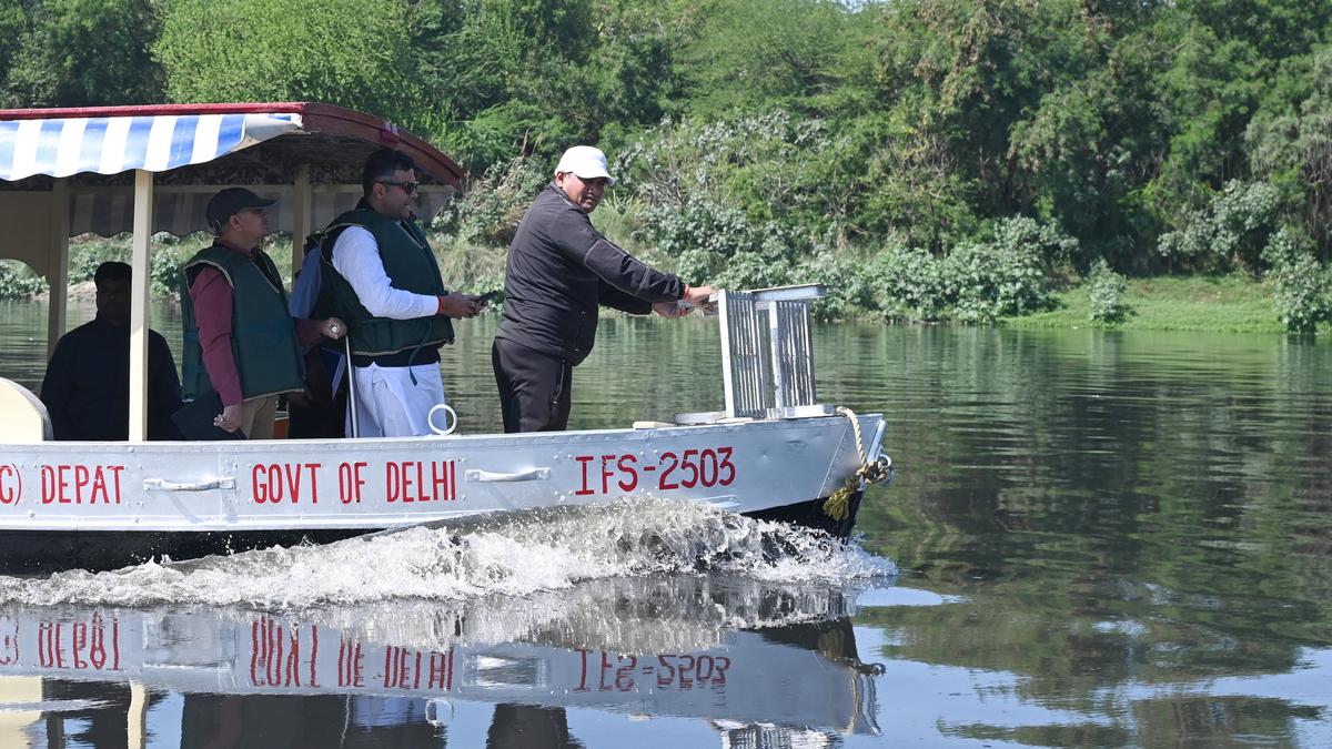 sonowal-takes-inventory-of-labor-on-yamuna-river-cruise-undertaking