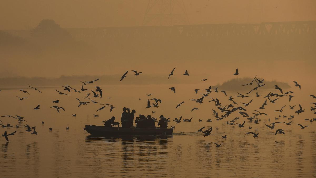 yamuna-boat-tourism-project-will-provide-a-inexperienced-tourism-expertise-with-electric-solar-boats