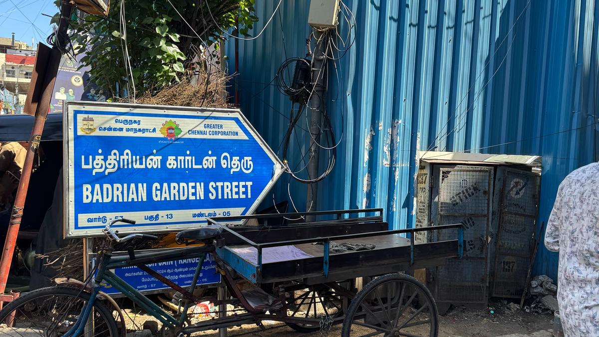 a-misplaced-backyard-and-a-forgotten-sq.-in-chennai