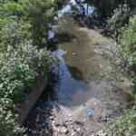 Causes of air pollution of Kiruthumal river will probably be recognized and  communicated to native our bodies for taking motion, HC instructed