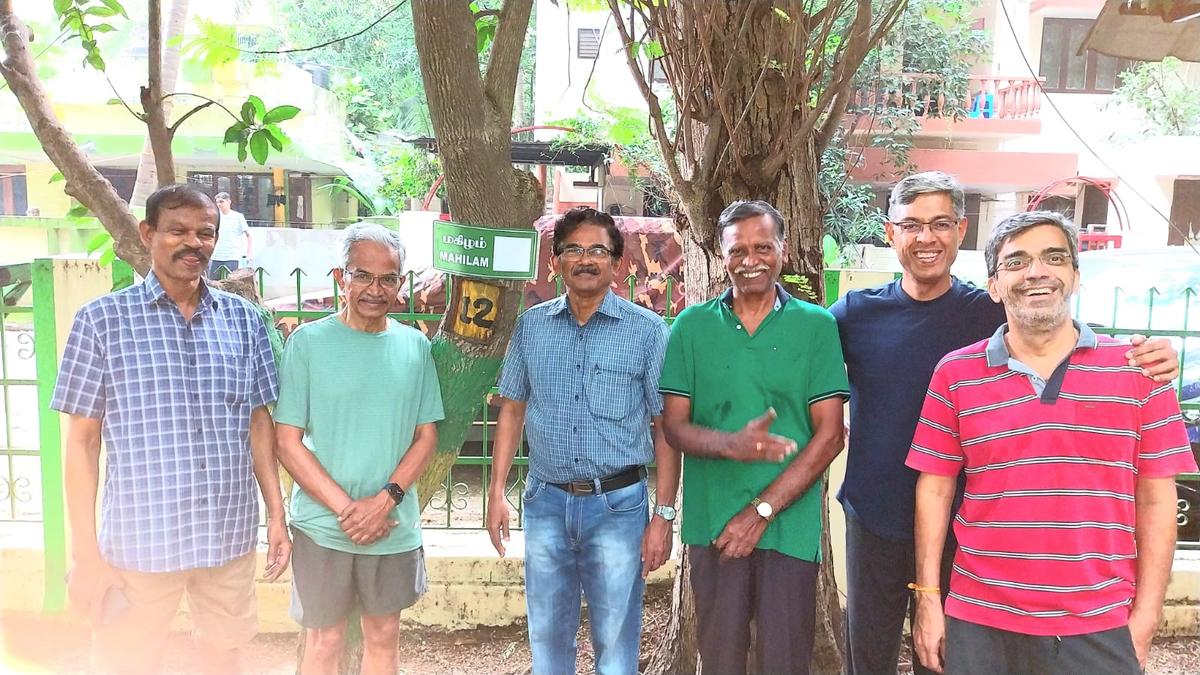 residents-of-a-neighbourhood-in-chennai-drawing-up-a-tree-map-for-their-local-park
