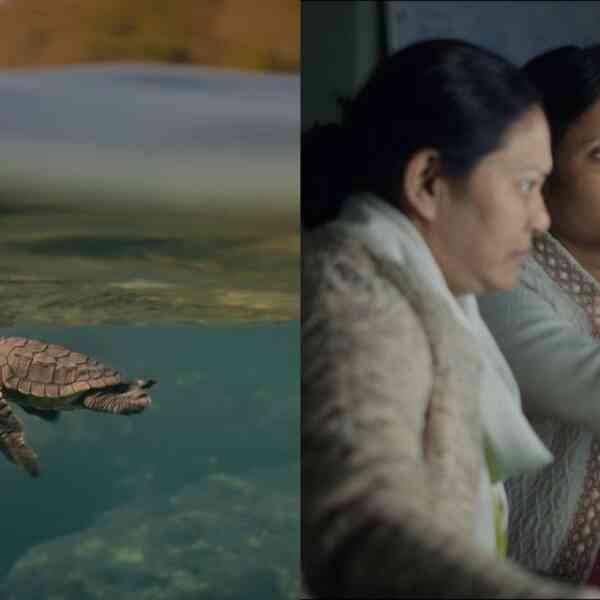 All Living Things Environmental Film Festival unveils line-up for 2025 edition