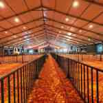 Modi to offer special puja before Geeta Parayana at Udupi Krishna Mutt