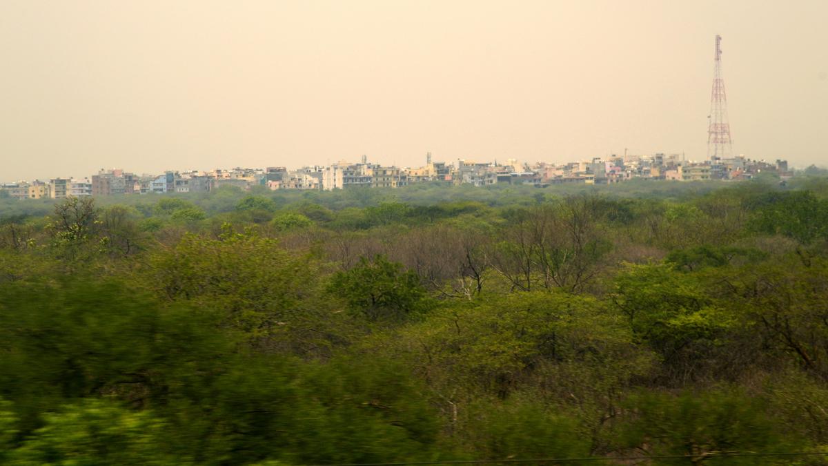 road-to-hell-is-paved-with-good-intentions:-congress-slams-govt-over-new-aravalli-definition