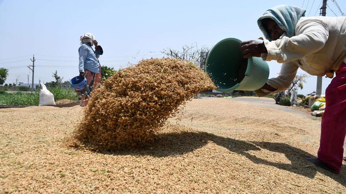 ap-govt-has-procured-8.22-lakh-metric-tonnes-of-paddy,-says-minister