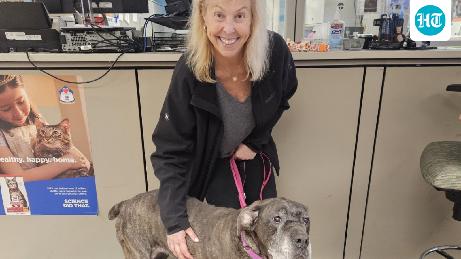 malnourished-and-abandoned,-senior-dog-piper-finds-loving-forever-home-just-in-time-for-thanksgiving