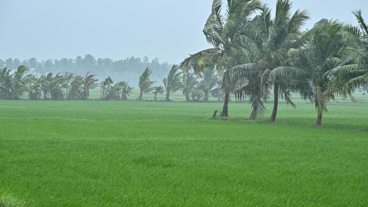 cyclone-ditwah-brings-torrential-rains-to-south-coastal-districts