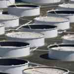 Indias shift away from Russian oil imports predates Trump tariffs