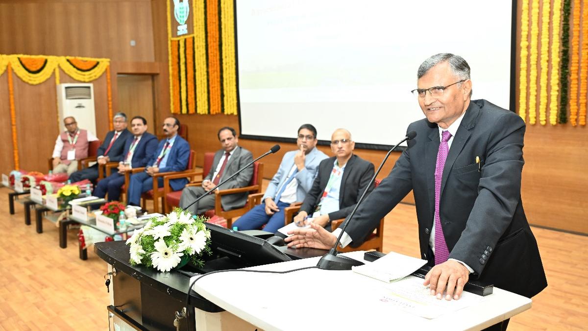 niti-aayog-member-bats-for-better-access-for-rural-women-to-markets