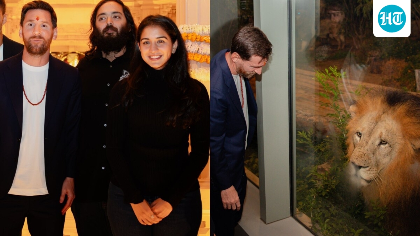 anant-ambani,-radhika-merchant-give-lionel-messi-a-vantara-tour,-show-him-lion,-tiger-and-other-animals