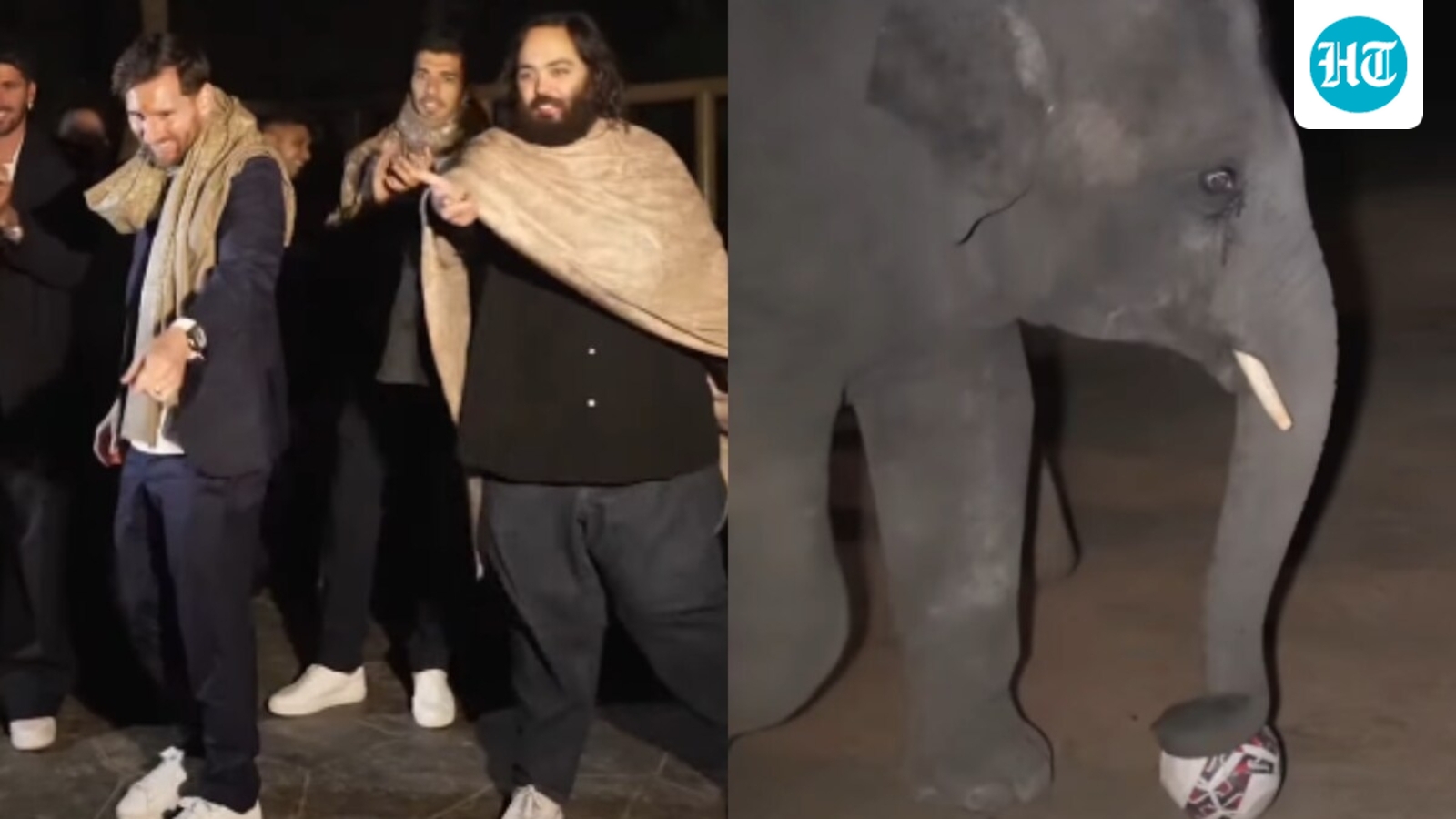 lionel-messi-plays-football-with-baby-elephant-at-vantara,-anant-ambani-watches-the-adorable-moment